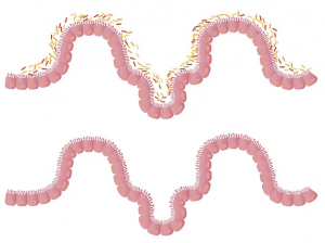 vita biosa probiotics image