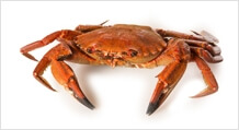 menu-item-img